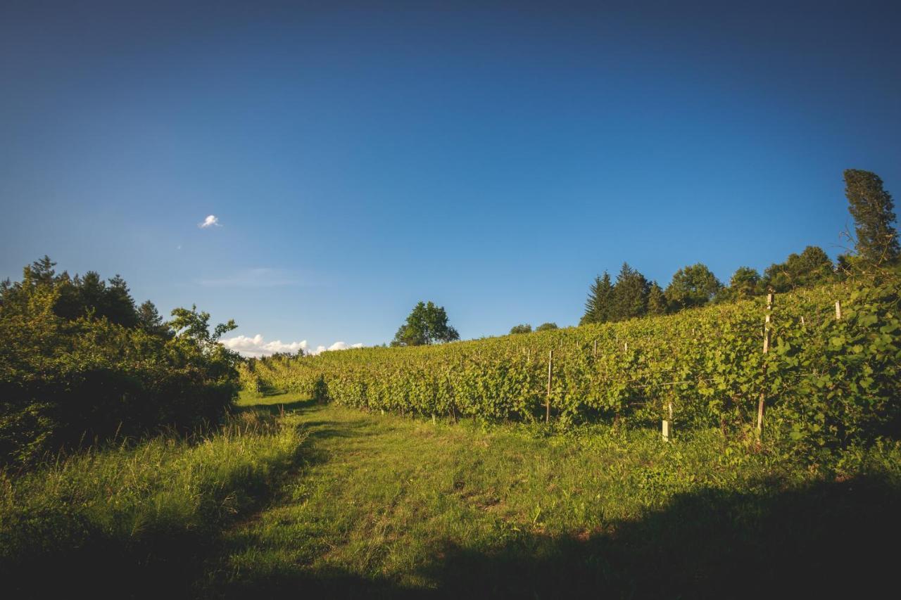 Villa La Meridiana アルバ エクステリア 写真