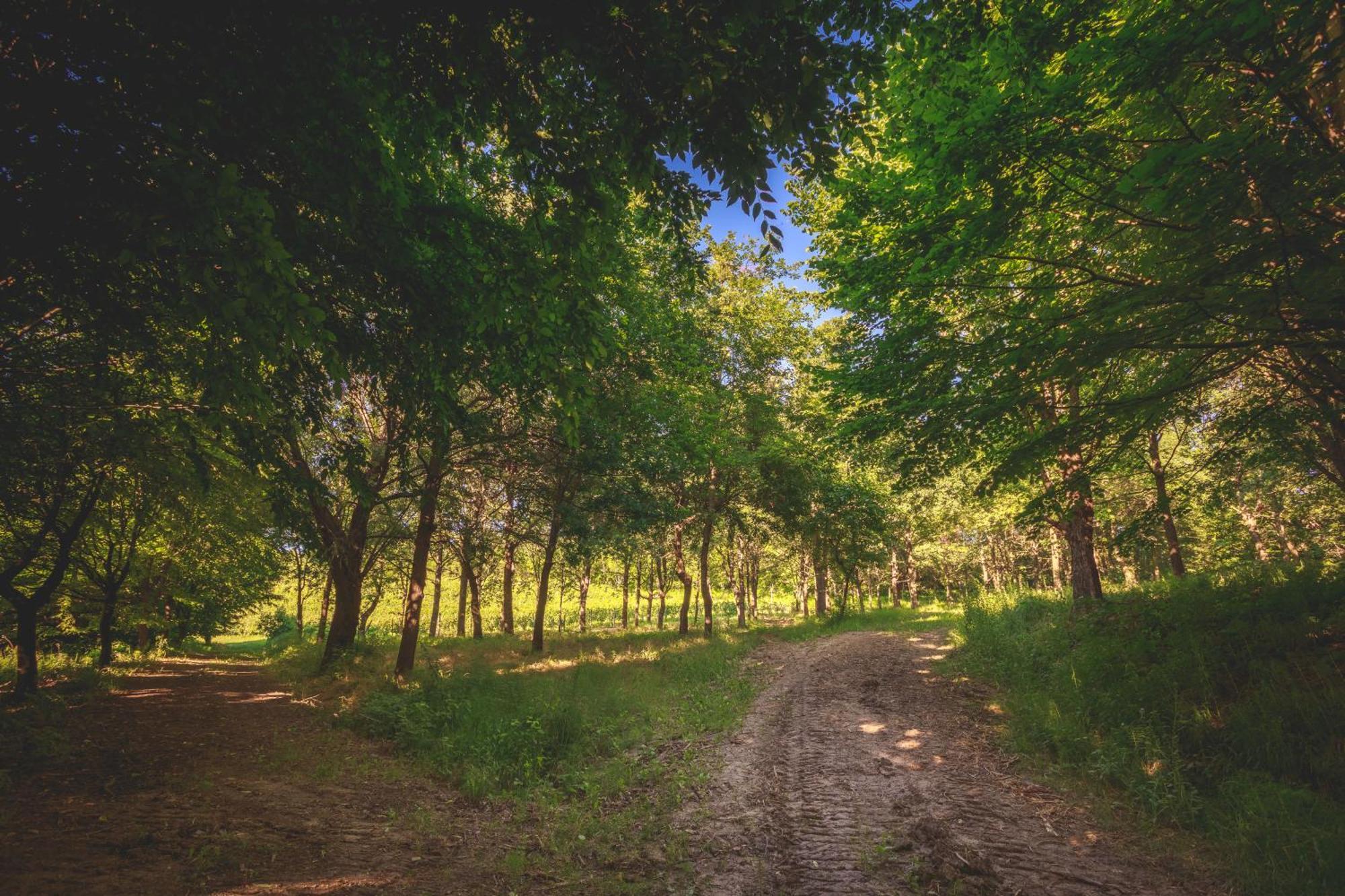 Villa La Meridiana アルバ エクステリア 写真